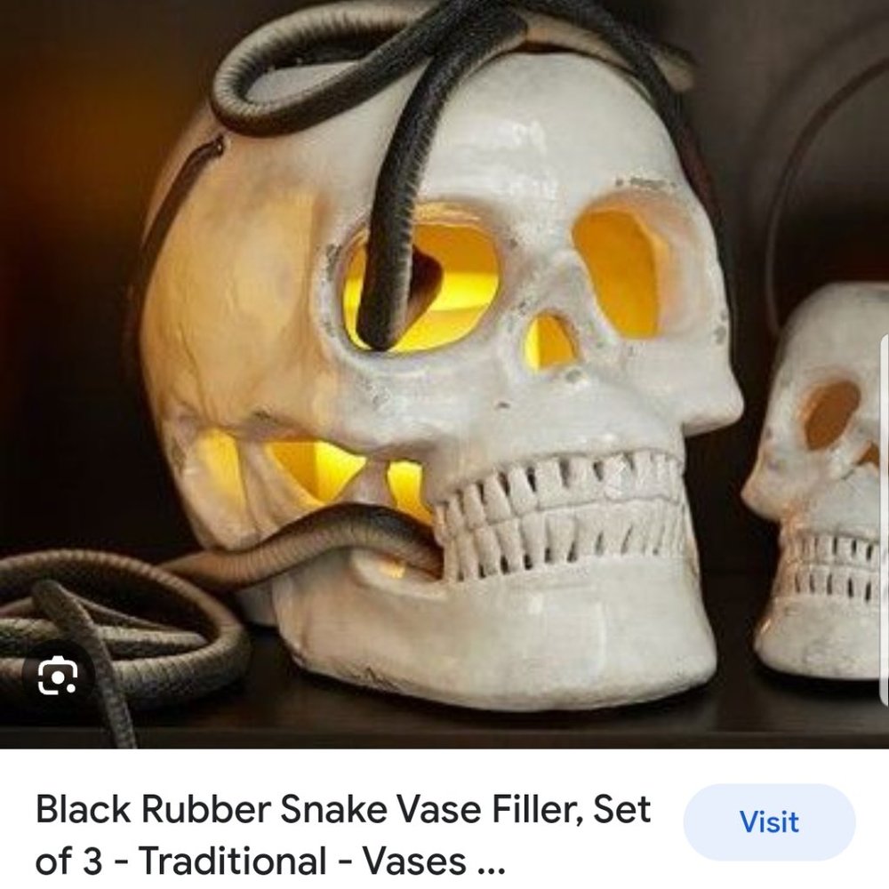Pottery Barn Halloween Rubber Snake Vase Filler